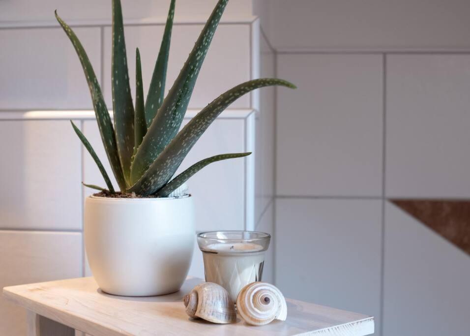 Moderne, Gemuetliche Dg-Wohnung In Ruhiger Lage Neunburg vorm Wald Exteriér fotografie