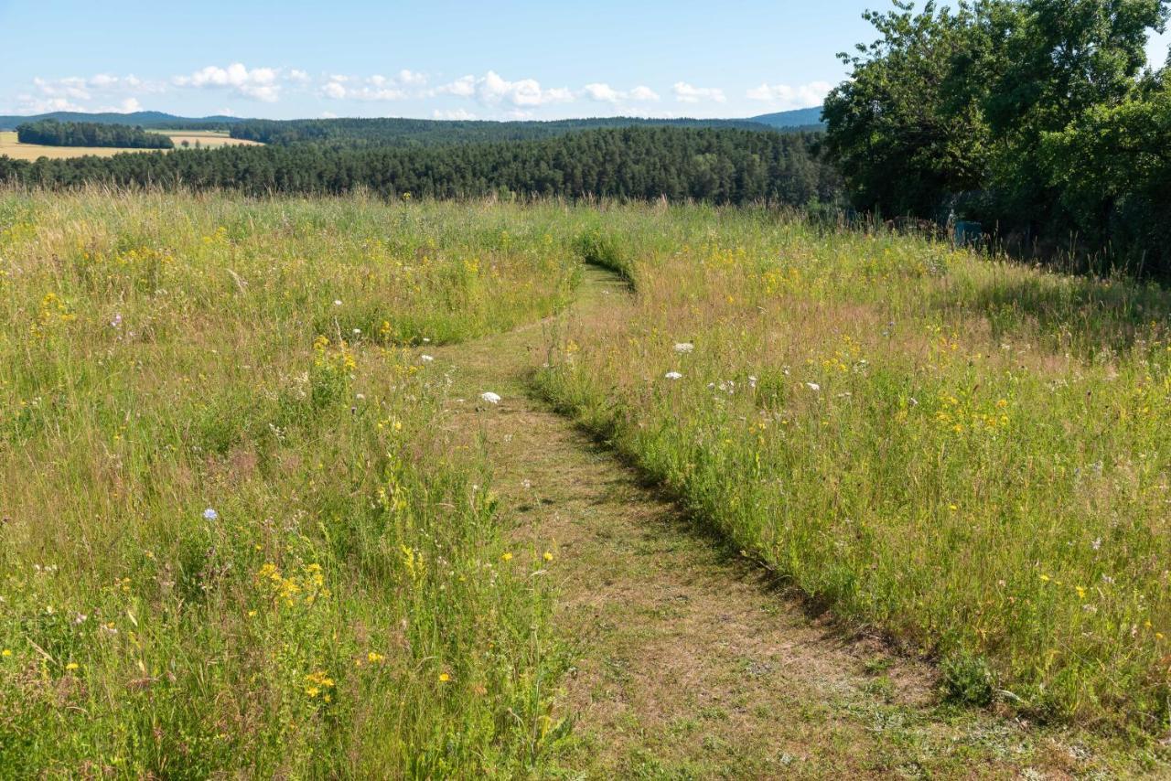 Moderne, Gemutliche Dg-Wohnung In Ruhiger Lage Neunburg vorm Wald Exteriér fotografie