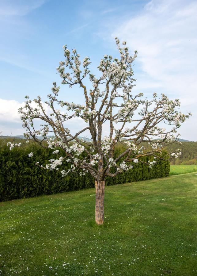 Moderne, Gemutliche Dg-Wohnung In Ruhiger Lage Neunburg vorm Wald Exteriér fotografie