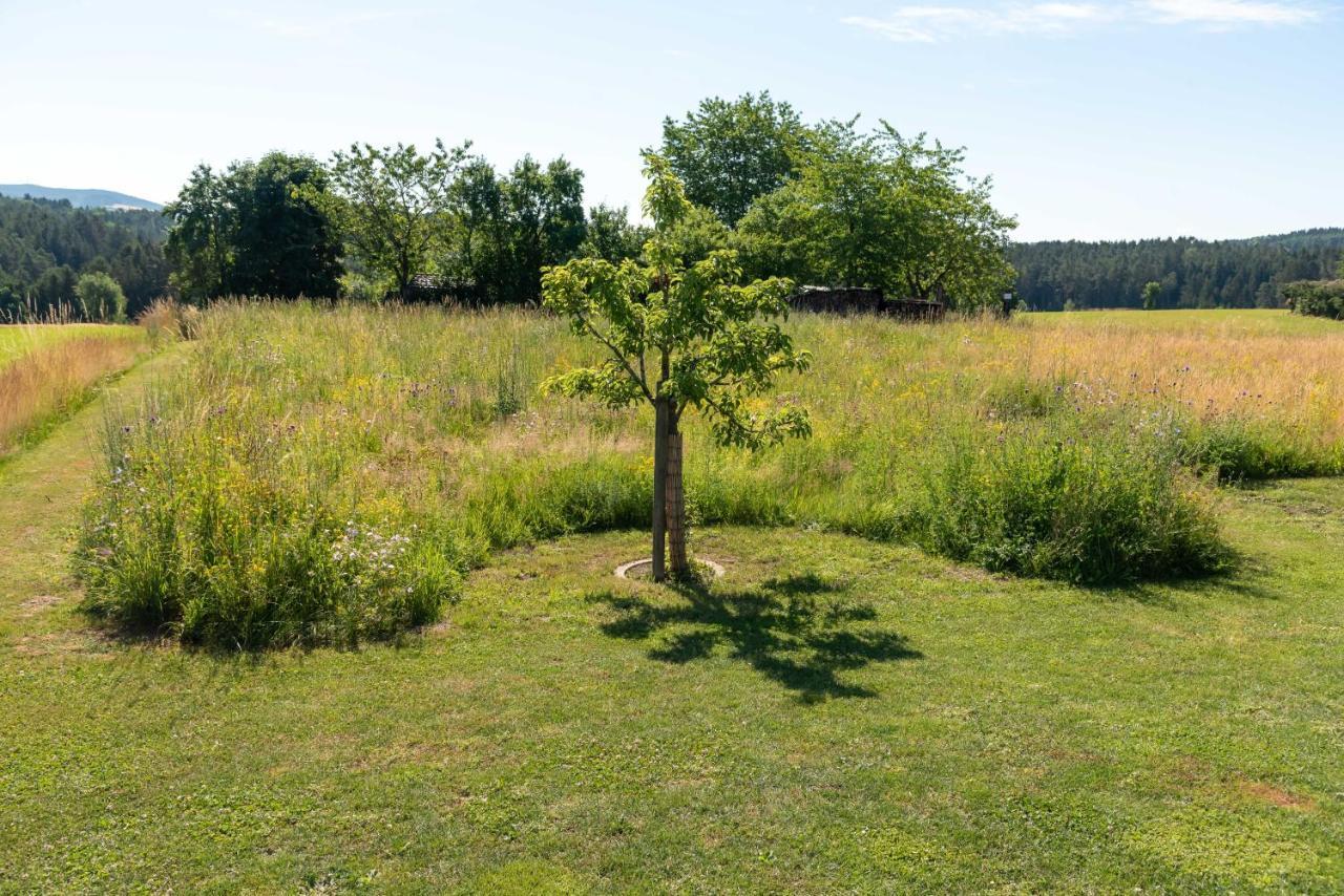Moderne, Gemuetliche Dg-Wohnung In Ruhiger Lage Neunburg vorm Wald Exteriér fotografie